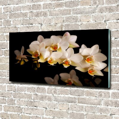 Acrylbild Fotodruck Orchidee
