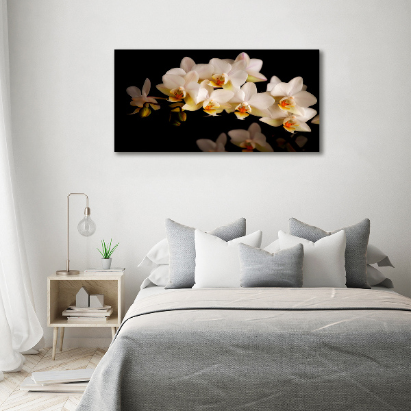 Acrylbild Fotodruck Orchidee