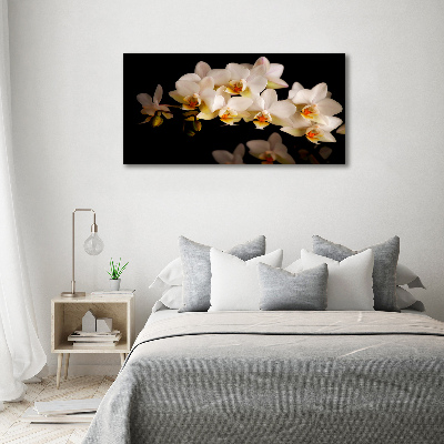 Acrylbild Fotodruck Orchidee