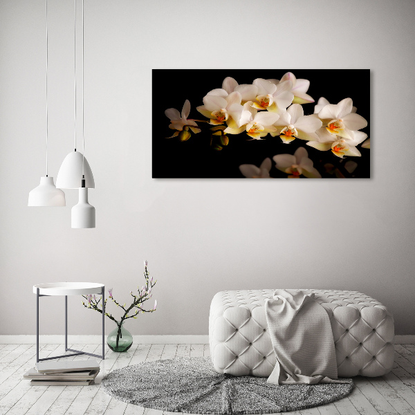 Acrylbild Fotodruck Orchidee