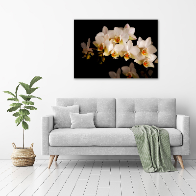 Acrylbild Fotodruck Orchidee