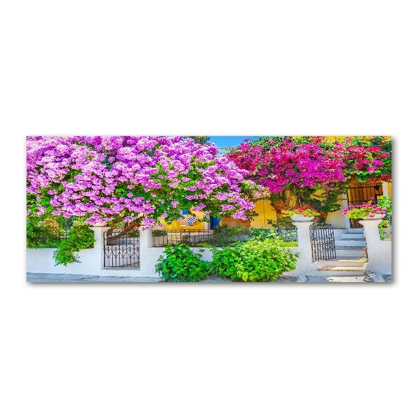 Acrylglas-Druck Haus mit Bougainvillea