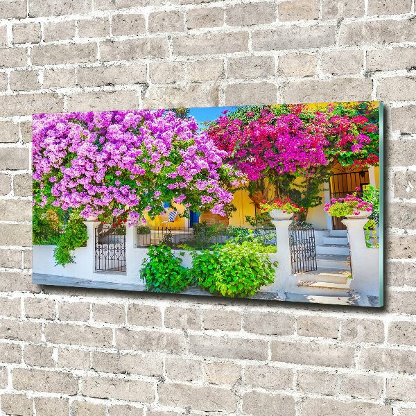 Acrylglas-Druck Haus mit Bougainvillea