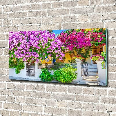 Acrylglas-Druck Haus mit Bougainvillea