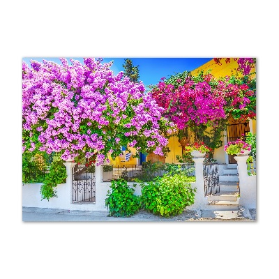 Acrylglas-Druck Haus mit Bougainvillea