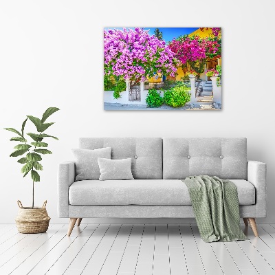 Acrylglas-Druck Haus mit Bougainvillea