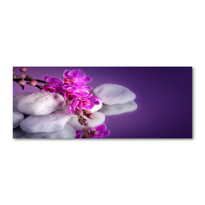 Foto auf Acryl Orchidee