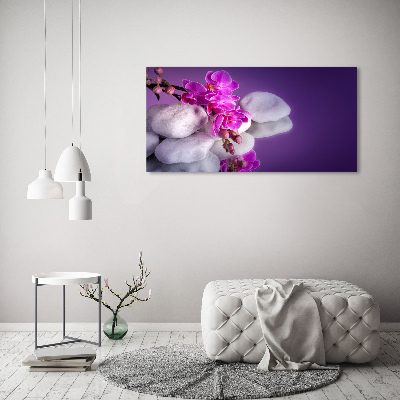 Foto auf Acryl Orchidee