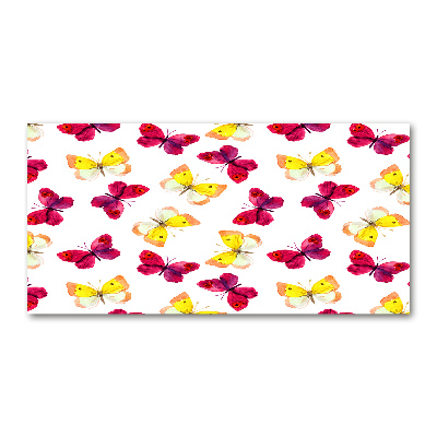 Acrylglas-Druck Schmetterlinge und Blumen