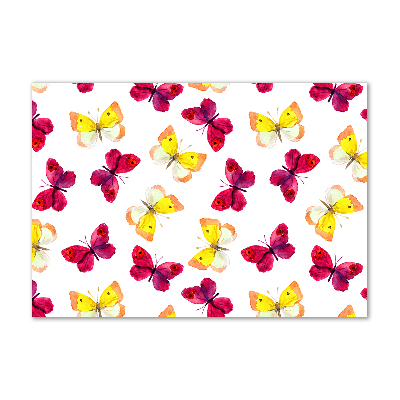 Acrylglas-Druck Schmetterlinge und Blumen