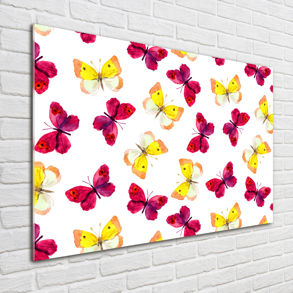 Acrylglas-Druck Schmetterlinge und Blumen