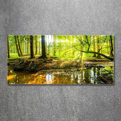 Foto auf Acryl Ein Teich im Wald