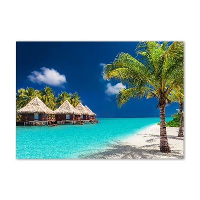 Bild auf Acrylglas Malediven Bungalows
