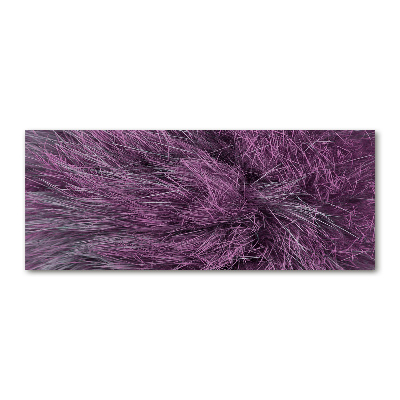 Foto auf Acryl Rosa Fell