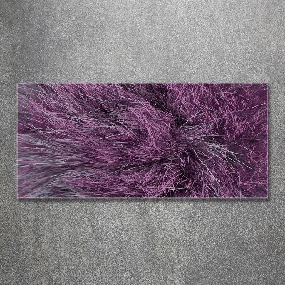 Foto auf Acryl Rosa Fell