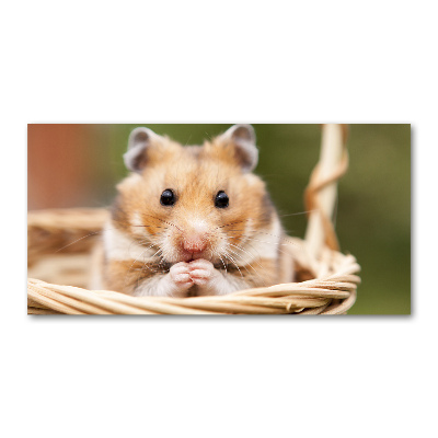 Acrylbild Fotodruck Hamster im Korb