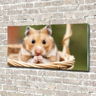 Acrylbild Fotodruck Hamster im Korb
