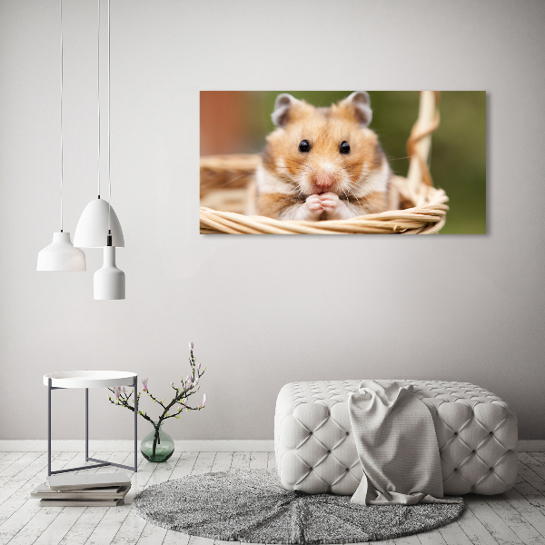Acrylbild Fotodruck Hamster im Korb