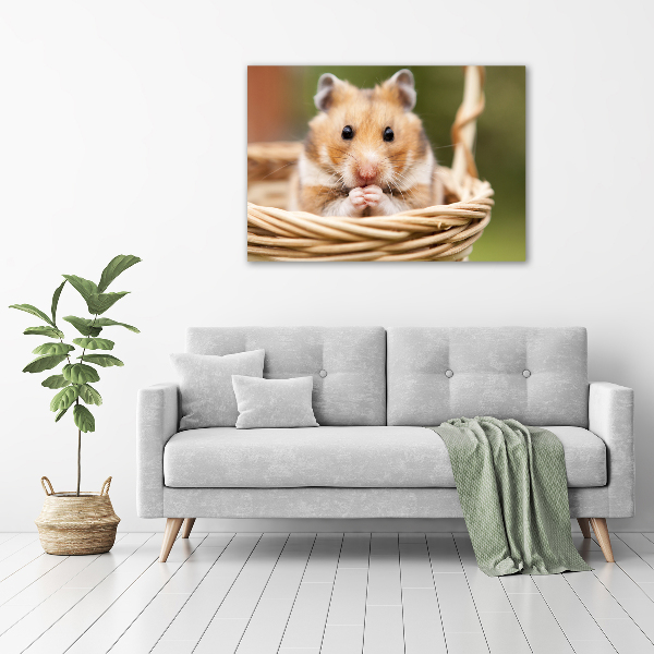 Acrylbild Fotodruck Hamster im Korb