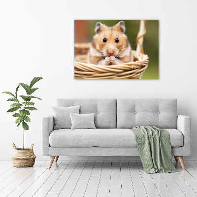 Acrylbild Fotodruck Hamster im Korb