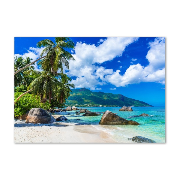 Acrylglas-Druck Strand der Seychellen