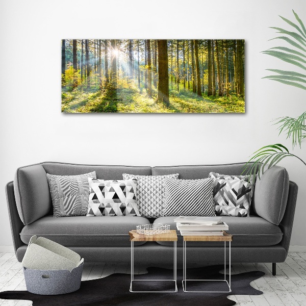 Bild auf Acrylglas Wald in der Sonne