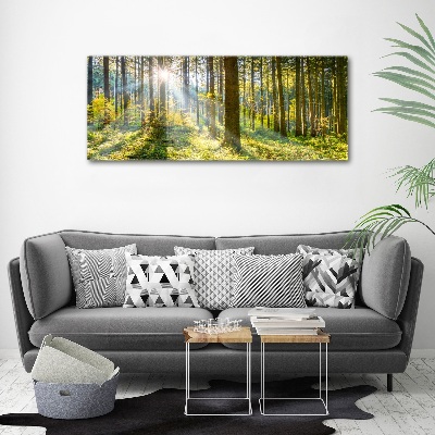 Bild auf Acrylglas Wald in der Sonne