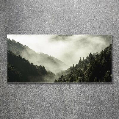 Acrylglas-Druck Nebel über dem Wald