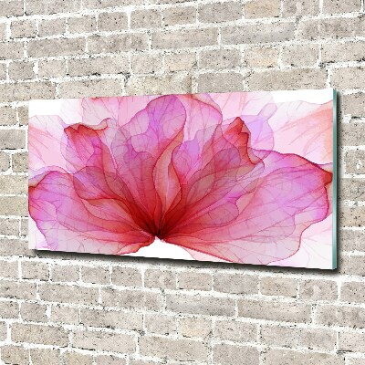 Bild auf Acrylglas Rosa Blume