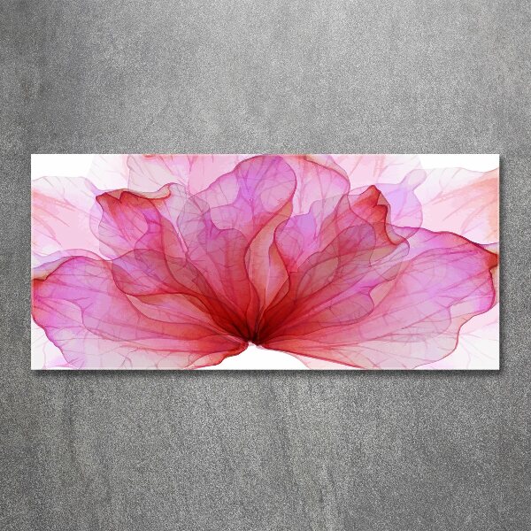 Bild auf Acrylglas Rosa Blume