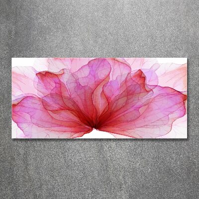 Bild auf Acrylglas Rosa Blume
