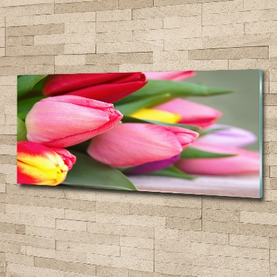 Acrylbild Fotodruck Bunte Tulpen