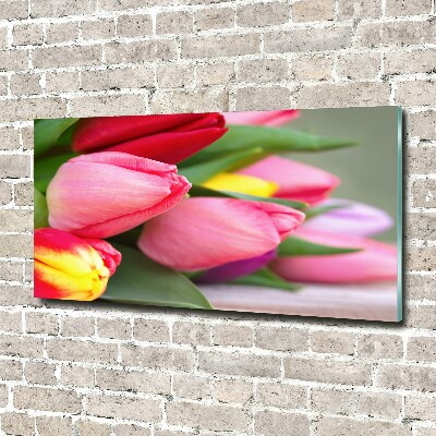 Acrylbild Fotodruck Bunte Tulpen
