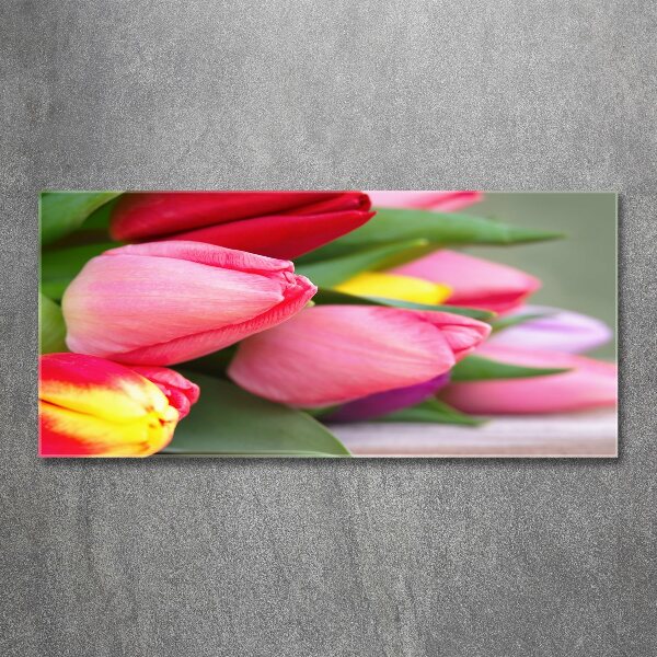 Acrylbild Fotodruck Bunte Tulpen