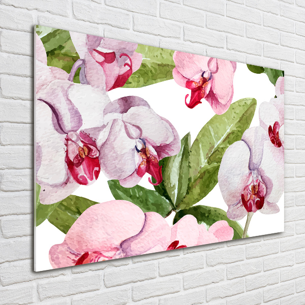 Acrylbild Fotodruck Rosa Orchideen