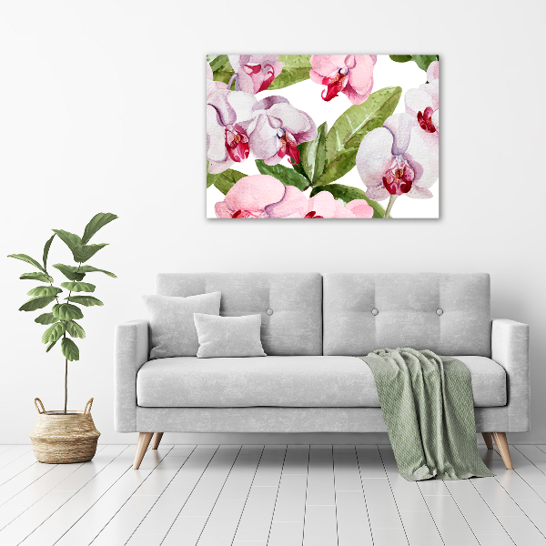 Acrylbild Fotodruck Rosa Orchideen