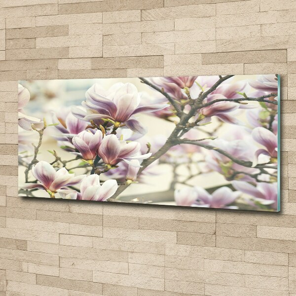 Acrylglas-Druck Magnolie