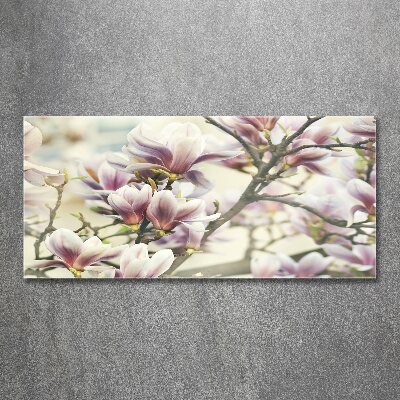 Acrylglas-Druck Magnolie