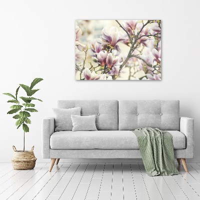 Acrylglas-Druck Magnolie