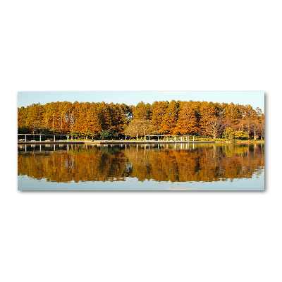 Bild auf Acrylglas Wald am See