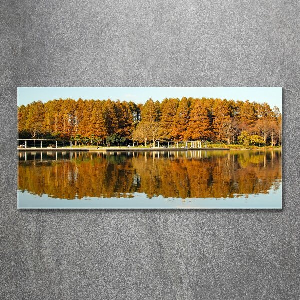 Bild auf Acrylglas Wald am See