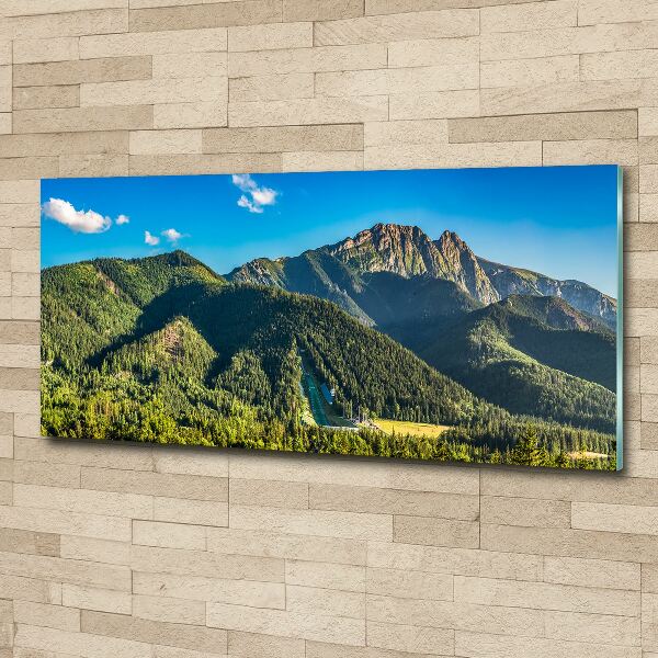 Bild auf Acrylglas Panorama der Tatra-Berge