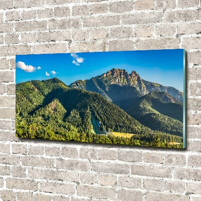 Bild auf Acrylglas Panorama der Tatra-Berge