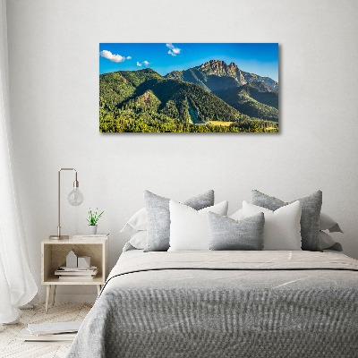 Bild auf Acrylglas Panorama der Tatra-Berge