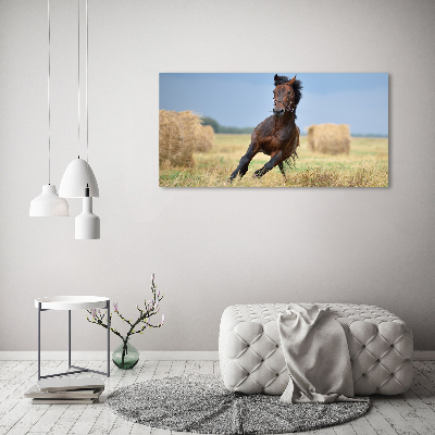 Acrylbild Fotodruck Ein galoppierendes Pferd
