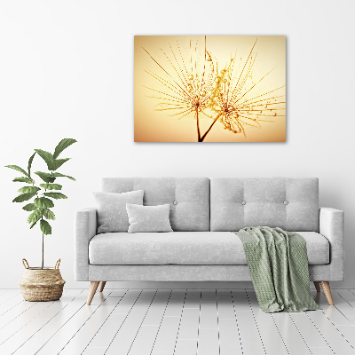 Acrylbild Fotodruck Löwenzahnsamen