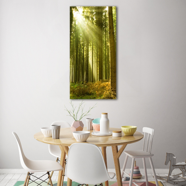 Bild auf Acrylglas vertikal Die Sonne im Wald
