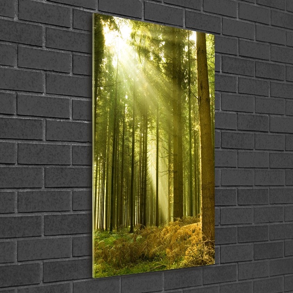 Bild auf Acrylglas vertikal Die Sonne im Wald
