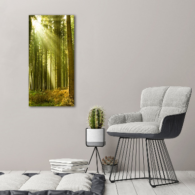 Bild auf Acrylglas vertikal Die Sonne im Wald