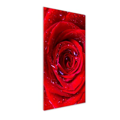 Modernes Acrylbild vertikal Rote Rose